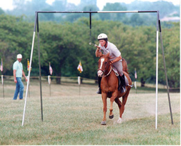 [color photograph of a horseback rider jousting]