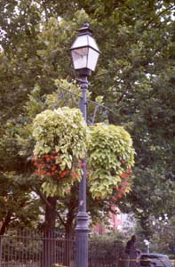 [color photograph of Annapolis street light]