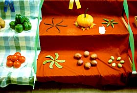 [color photograph of Frederick County Fair produce]